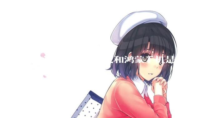 鸿蒙电脑应用开发和鸿蒙手机是一样的吗？