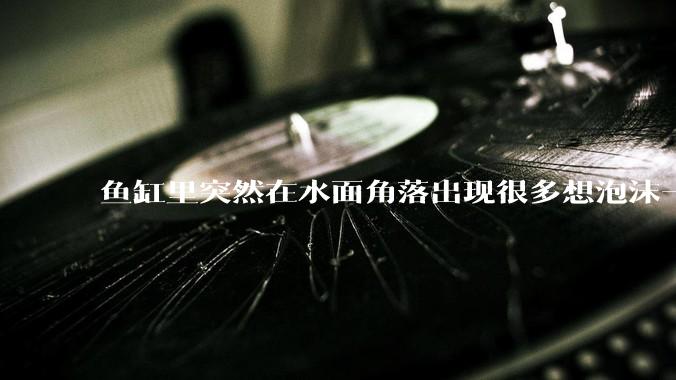 鱼缸里突然在水面角落出现很多想泡沫一样的气泡是怎么回事？