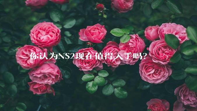 你认为NS2现在值得入手吗？