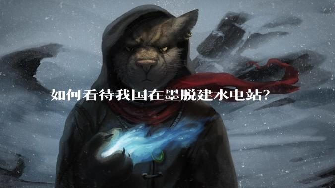 如何看待我国在墨脱建水电站？